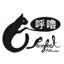呼嚕 Purrfect fitness 及圖