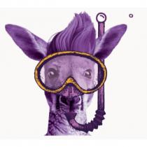AUSSIE KANGAROO with Diving Goggles Device