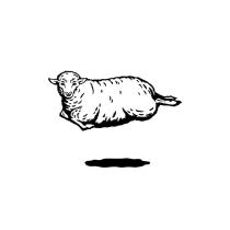 綿羊設計圖