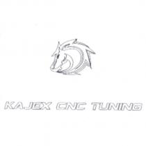 KAJEX CNC TUNING 及圖