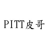PITT 皮哥