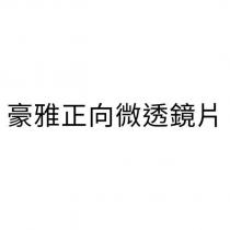 豪雅正向微透鏡片