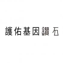 護佑基因鑽石設計字