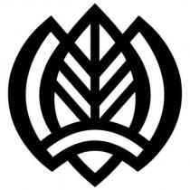 三菩提葉設計圖
