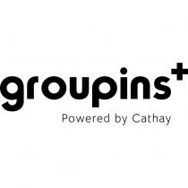 groupins+ Powered by Cathay 設計字