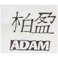 柏盈及圖 ADAM 