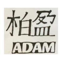 柏盈及圖 ADAM 