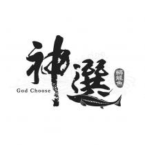 神選鱘龍魚 God Choose 及圖