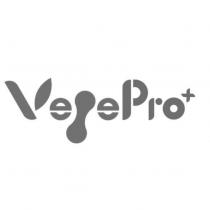 Ve ePro 設計字及圖