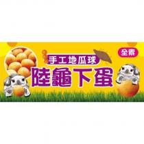 陸龜下蛋及圖