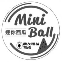 Mini Ball 迷你西瓜 農友種苗育成及圖