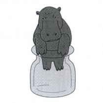 水瓶河馬圖