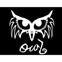 OWL 及圖