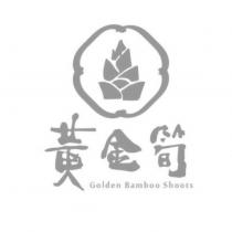 黃金筍 Golden Bamboo Shoots 及圖