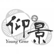 仰景 YOUNG GENE 及設計圖