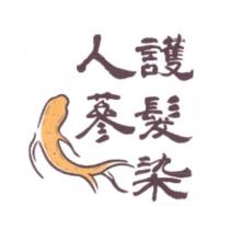 人蔘護髮染及圖