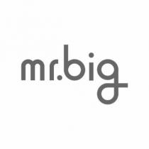 mr.big