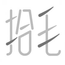 拾毛設計字