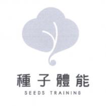種子體能 SEEDS TRAINING 及圖