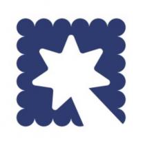 星辰實業國際股份有限公司標章圖