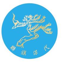聯旗保代及圖