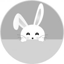 免子設計圖