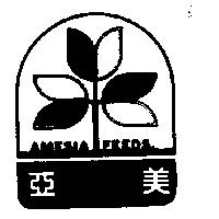 亞美 AMESIA FEEDS 及圖