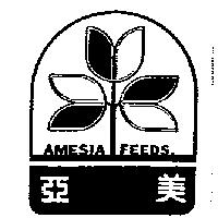 亞美 AMESIA FEEDS 及圖