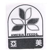 亞美及圖 AMESIA FEEDS