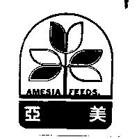 亞美及圖 AMESIA FEEDS