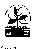 亞美及圖