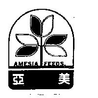 亞美及圖 AMESIA FEEDS.