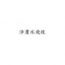 淨膚水飛梭