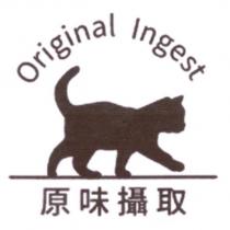 原味攝取 Original Ingest 及圖