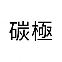碳極