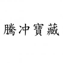 騰冲寶藏