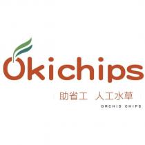 Okichips 助省工 人工水草 ORCHID CHIPS 及圖