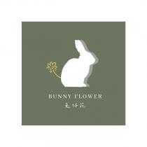 兔仔花 BUNNY FLOWER 及圖