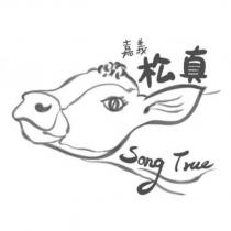 嘉義松真 Song True 及圖