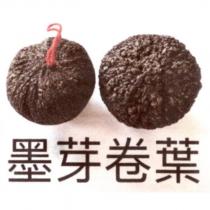 墨芽卷葉及圖
