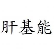 肝基能