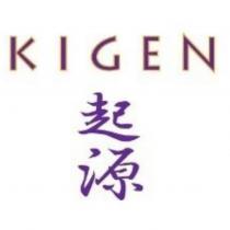 KIGEN 起源 (in colors)