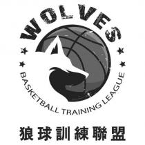 WOLVES BASKETBALL TRAINING LEAGUE 狼球訓練聯盟及圖