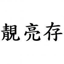 靚亮存