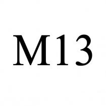 M13