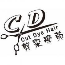CD 及圖