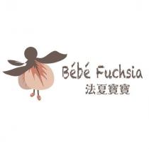 法夏寶寶 Bebe Fuchsia 及圖