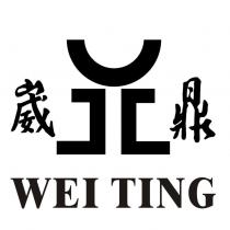 崴鼎 WEI TING 及圖