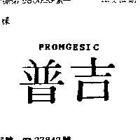 普吉 PROMGESIC 