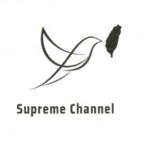 Supreme Channel 與圖